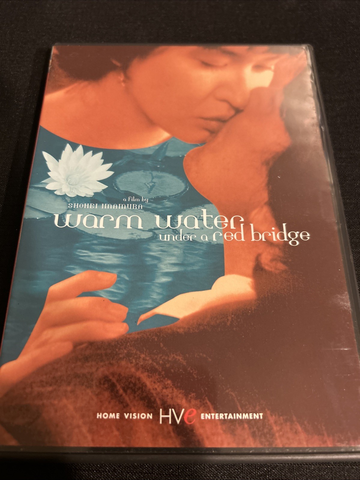 Warm Water Under a Red Bridge: DVD