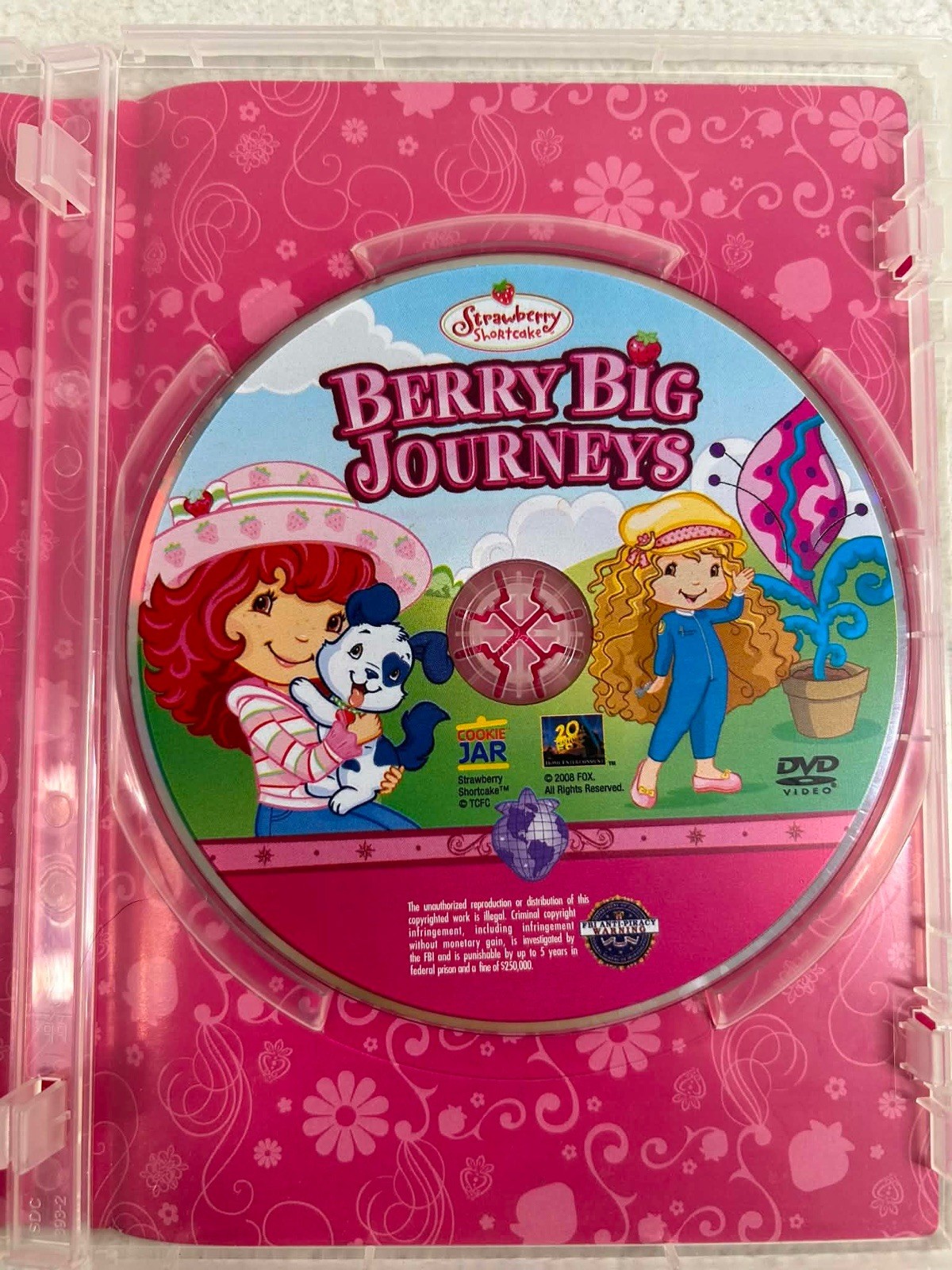 Strawberry Shortcake DVD Lot of 4 Berry Fairy Tales Merry Christmas Journeys