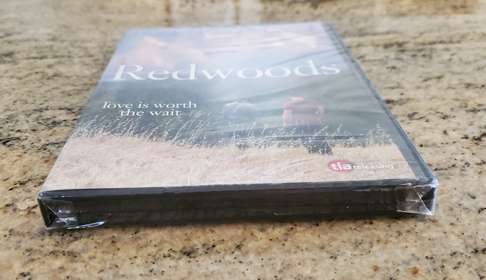 REDWOODS DVD RARE GAY MALE INTEREST ROMANTIC LGBTQ QUEER LOVERS DRAMA CINEMA NEW