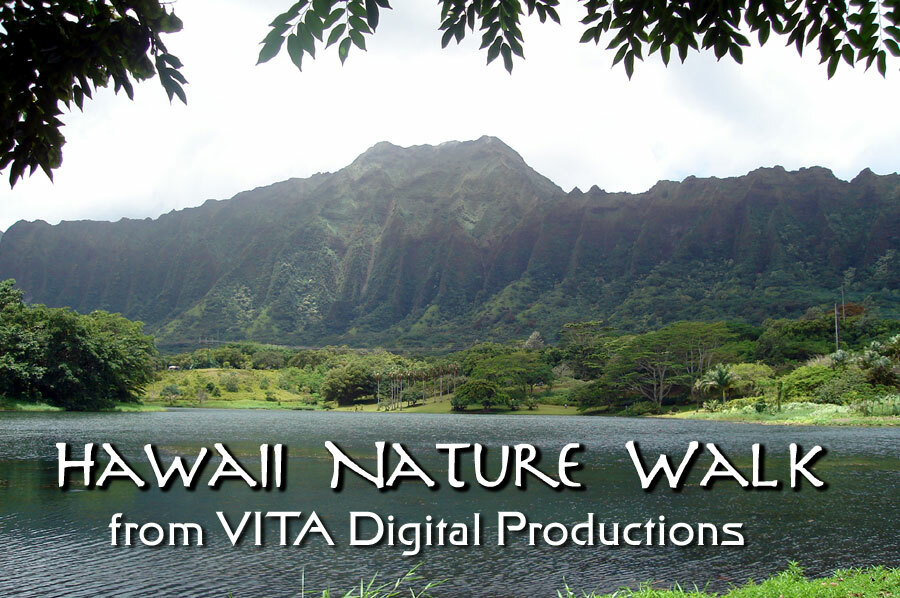 HAWAII NATURE WALK – TREADMILL BOTANICAL SCENERY DVD – EXERCISE FITNESS VIDEO