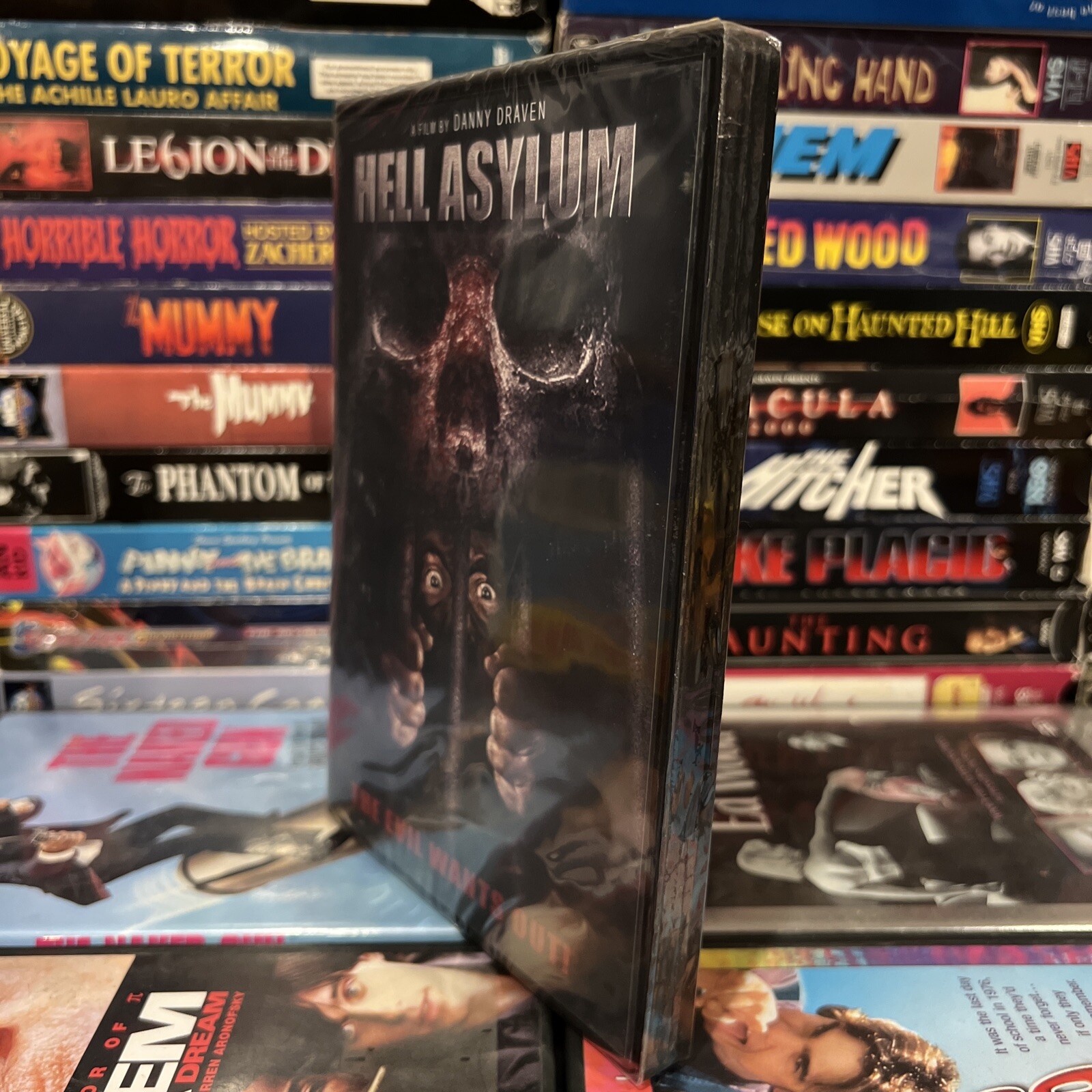 Hell Asylum 2002 DVD Brand New Joe Estevez Reality Show Prison Blood Gore Horror