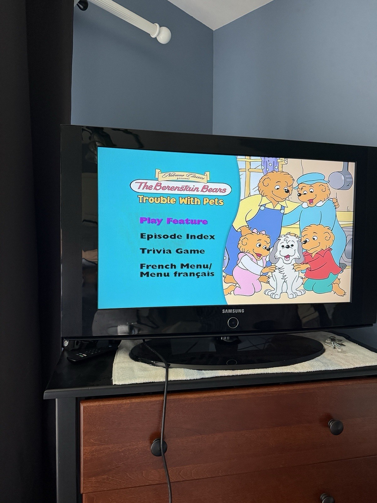 Vintage Berenstain Bears DVD Lot 8 Kids Family Cartoons Educational Out Of Print