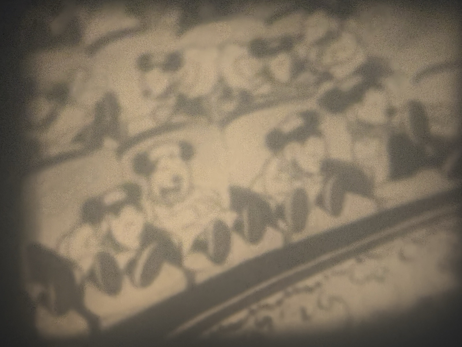 Disney’s “Mickey’s Best Girl” & “Stage Struck” (1933) 8mm Film, Minnie Donald VS