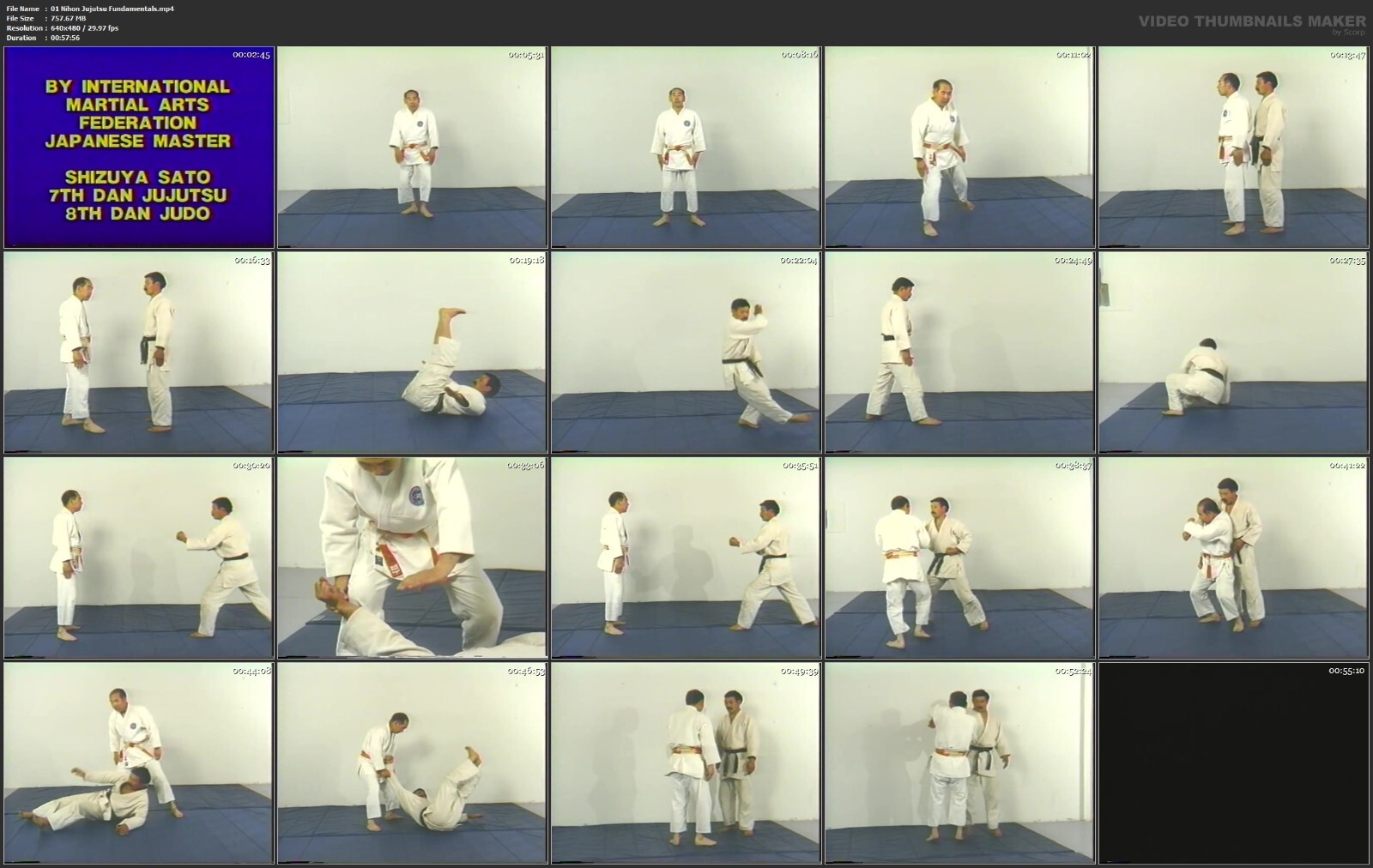 Mastering Nihon Jujutsu starring Shizuya Sato (3 DVD Set)