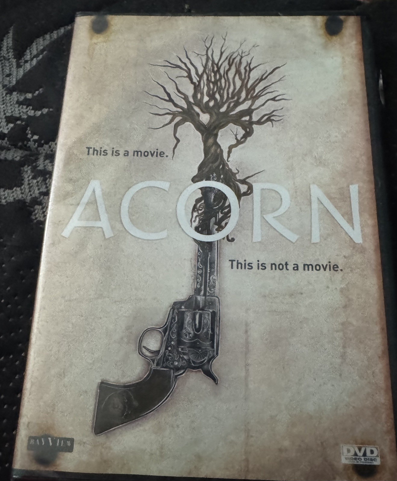 Acorn