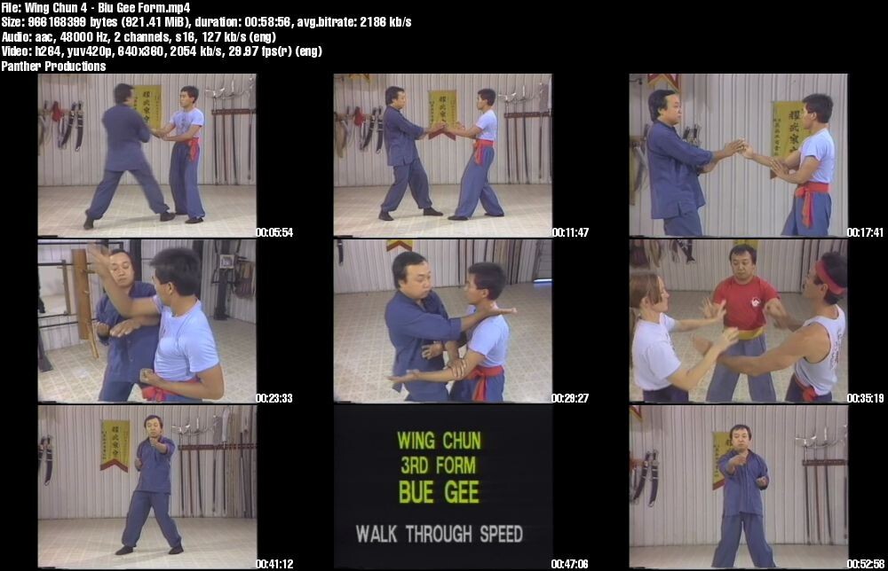 Home Study Course – Ultimate Wing Chun Mastery (DVDs + Certificates)