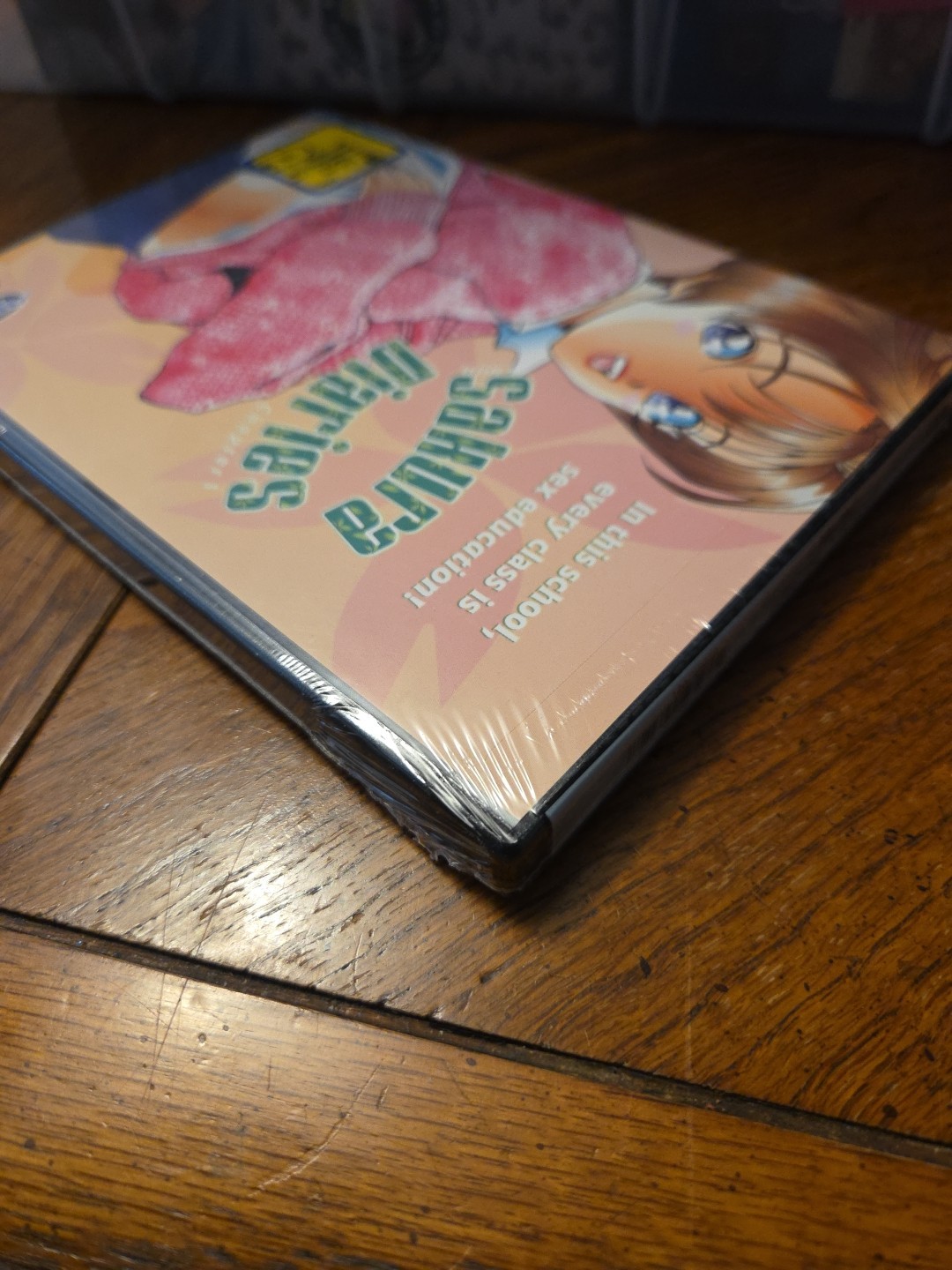 Sakura Diaries: Chapter 1 (DVD, 2000) ADV Films Animation 3 Episodes BRAND NEW