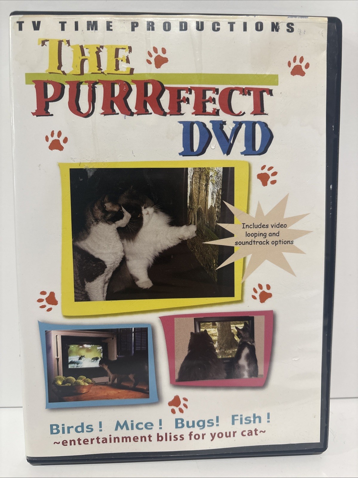 The Purrfect Cat Entertainment Video 1st Edition (DVD, 2006)