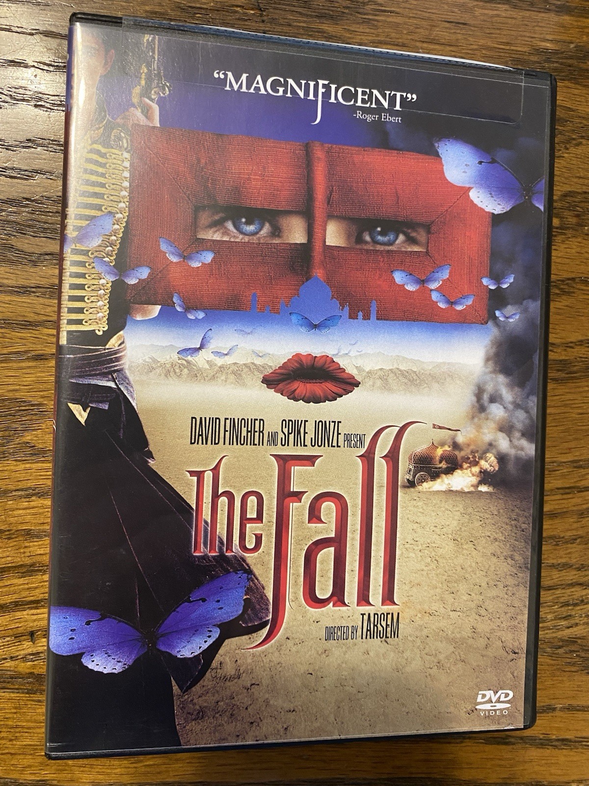 The Fall (DVD) Tarsem Singh Lee Pace Fantasy Stunts Action Adventure Beauty Oop