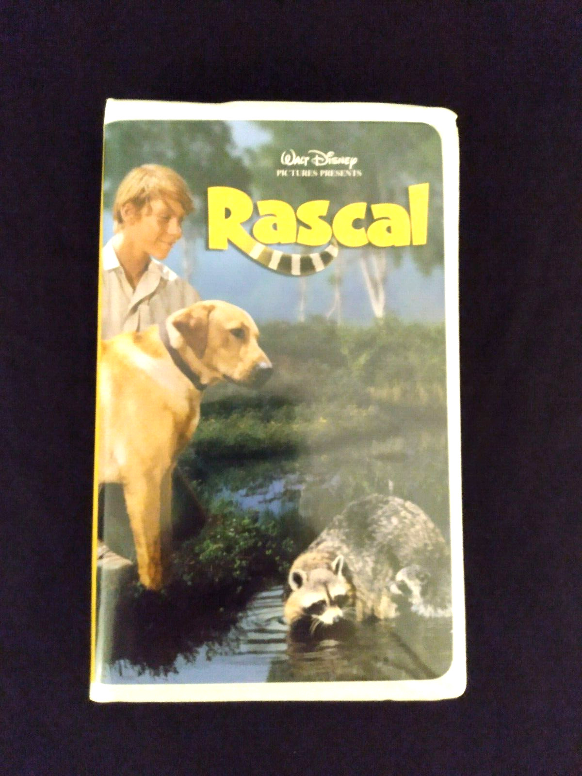 Walt Disney Pictures Rascal VHS Movie Staring Steve Forrest & Bill Mumy