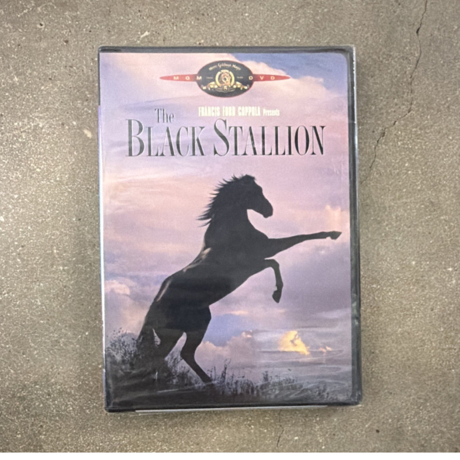 MGM The Black Stallion DVD Carroll Ballard Kelly Reno Adventure Full Screen