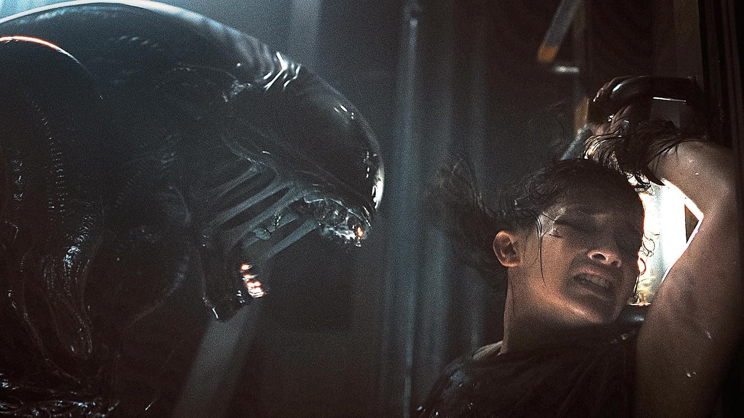 New Alien: Romulus (DVD)