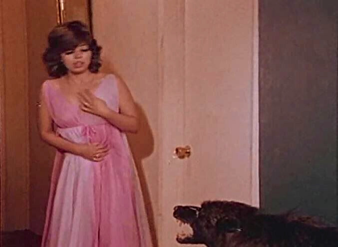 ED WOOD Pretty Models…(1969) ++ Necromania (1971; uncut) BOTH on one dvd -r !