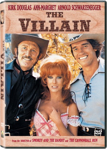 The Villain [Used Very Good DVD] Subtitled