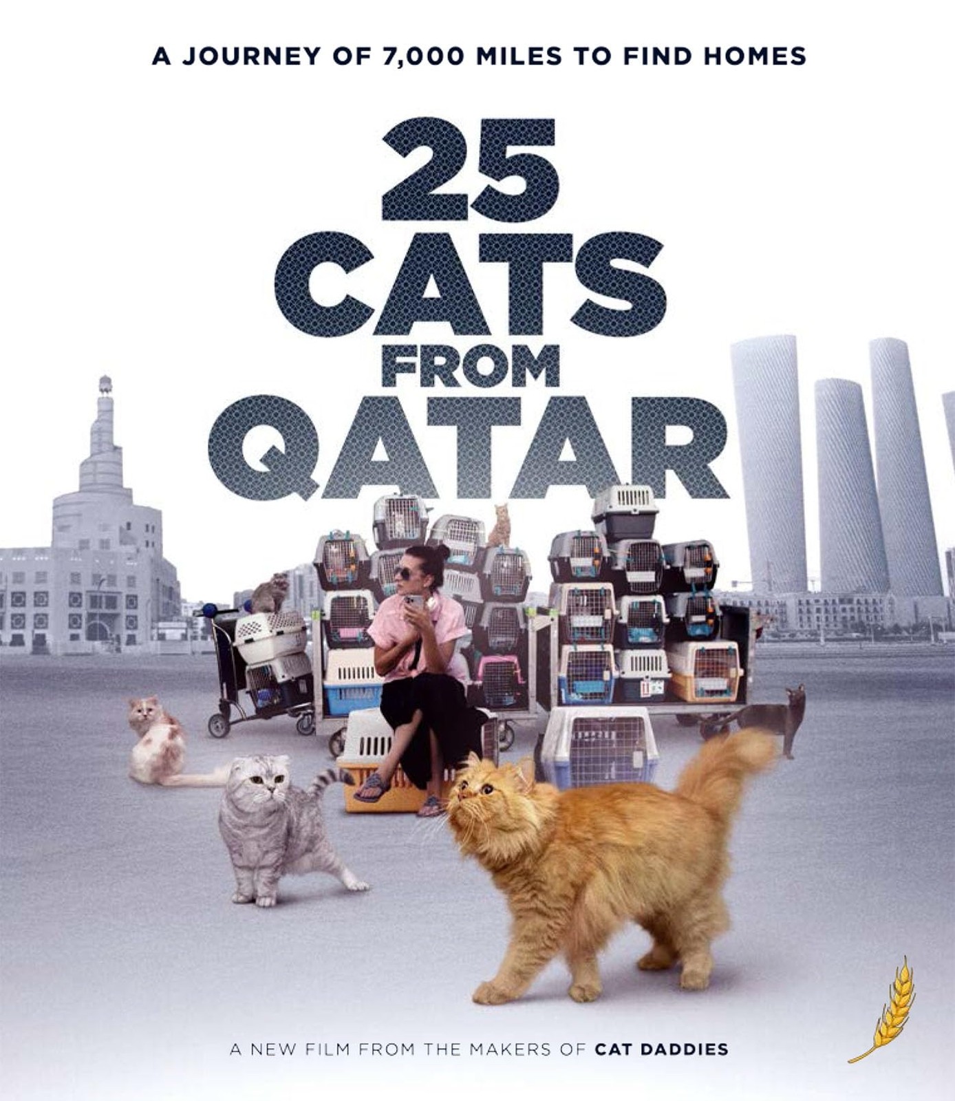25 Cats From Qatar (Blu-ray) Katy McHugh Mye Hoang