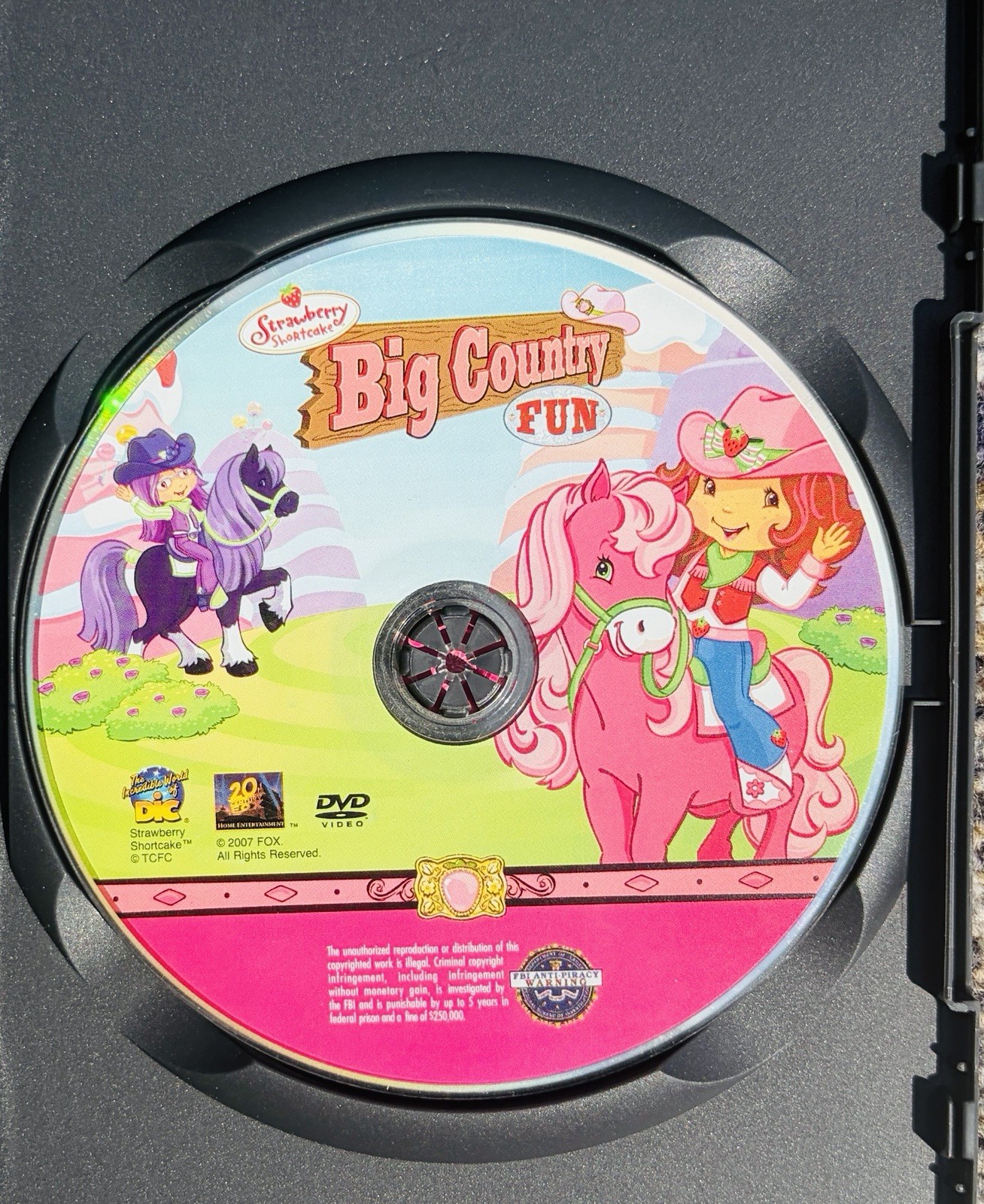 Meet Strawberry Shortcake AND Big Country Fun DVD Lot