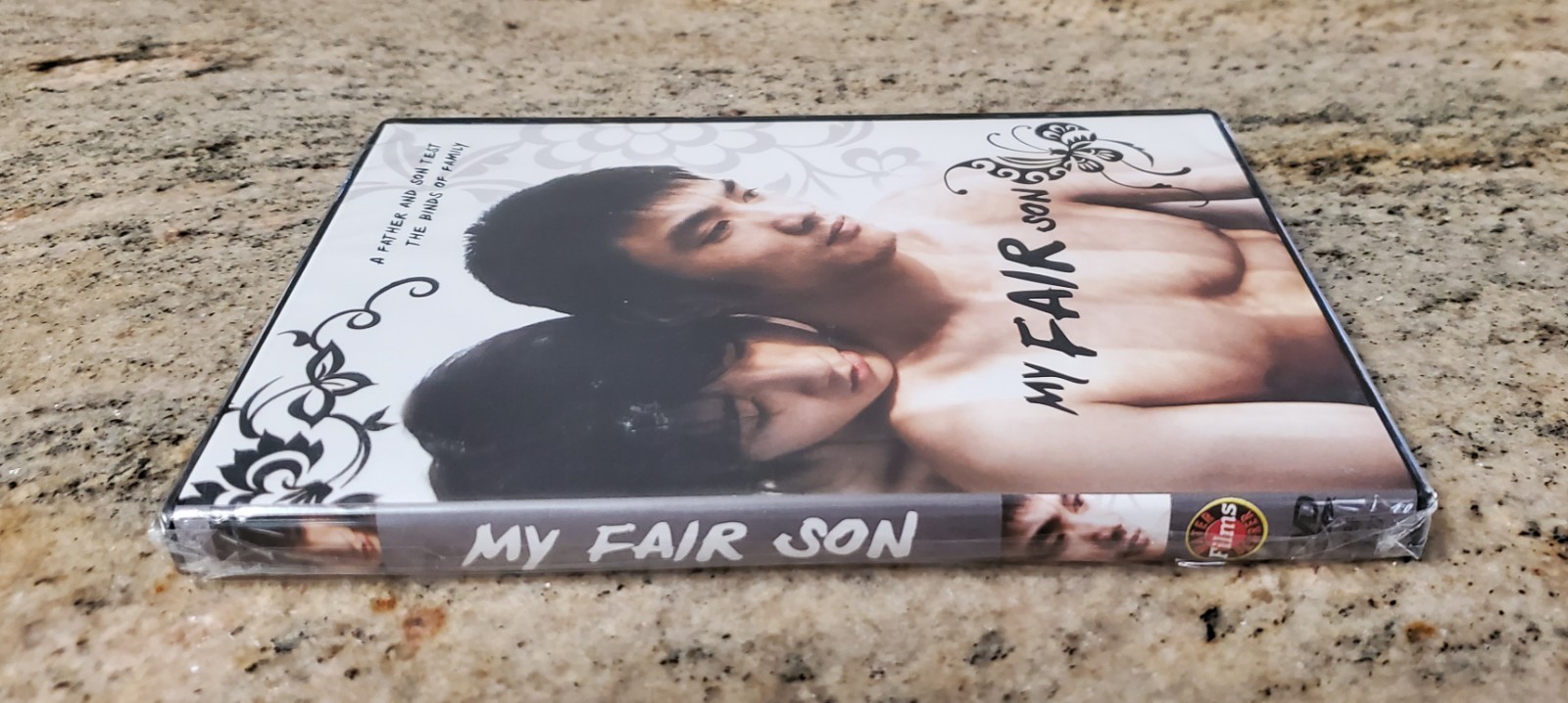 MY FAIR SON DVD RARE OOP GAY MALE LIFE IN CHINA RELATIONSHIP DRAMA LGBTQ NEW 🌈