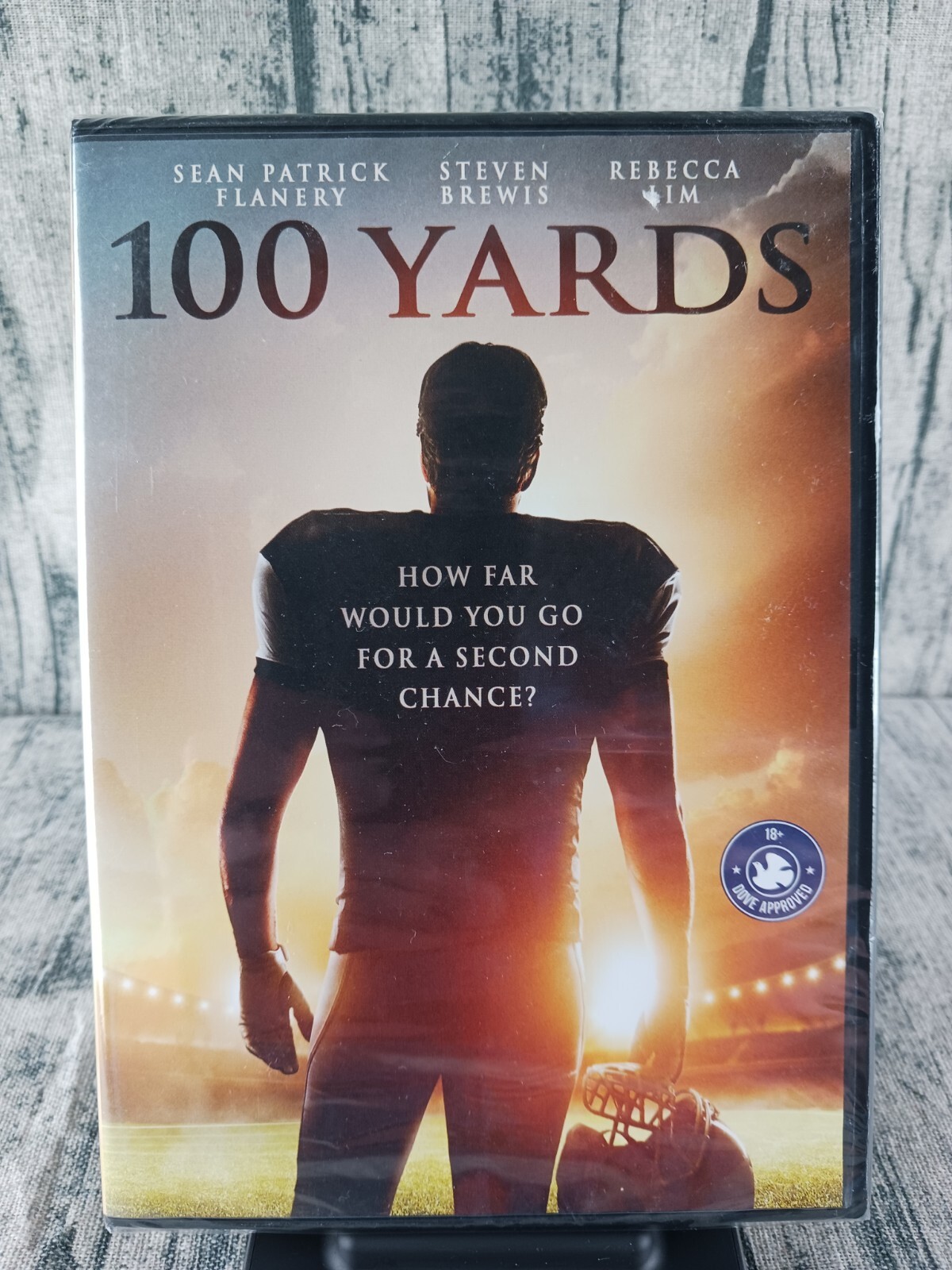 100 Yards (DVD, 2017, Widescreen) Sean Patrick Flanery – Brand New / Sealed
