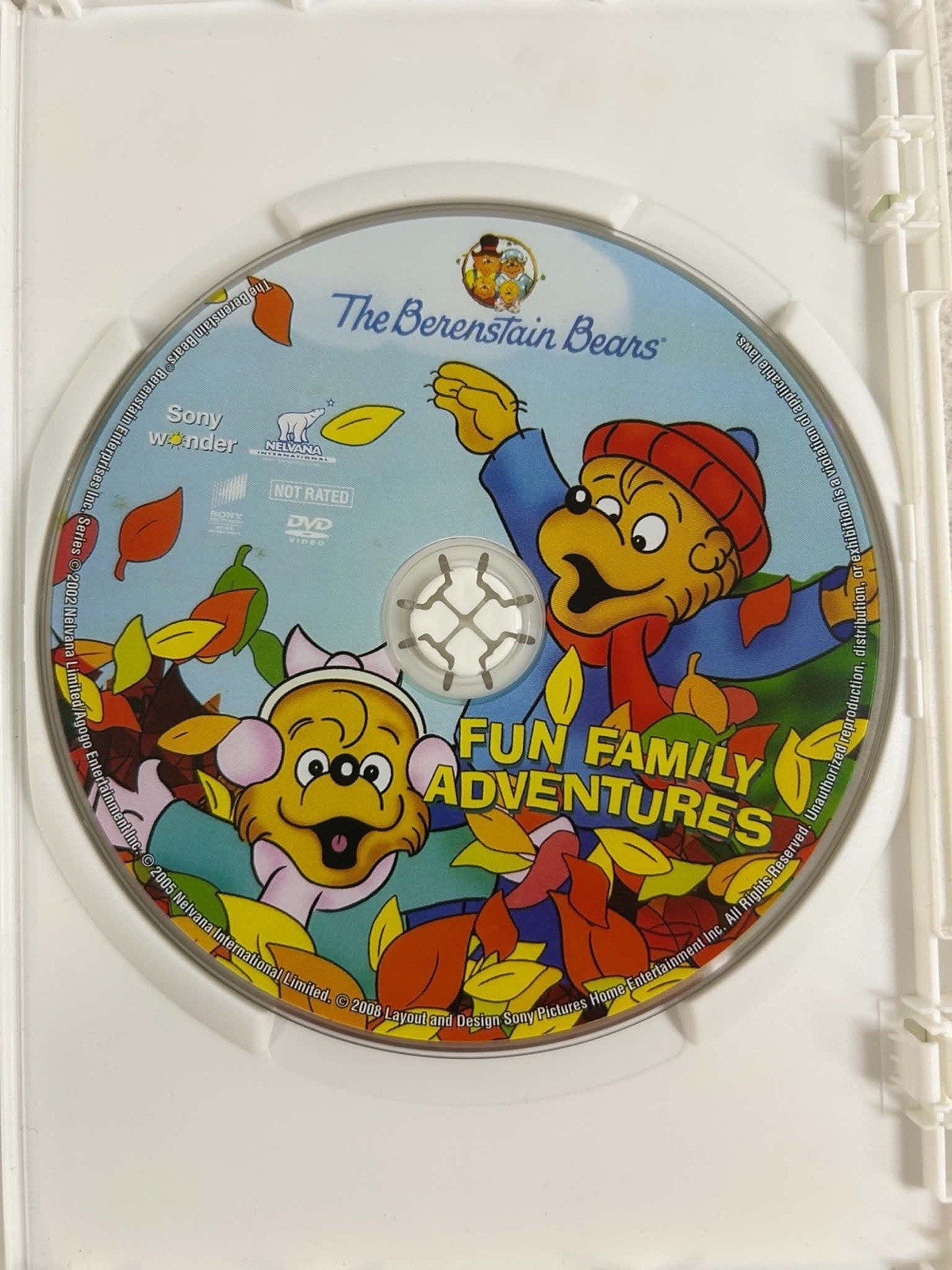 Berenstain Bears DVD Lot of 3 Trick or Treat Fun Family Adventure I Love Brother