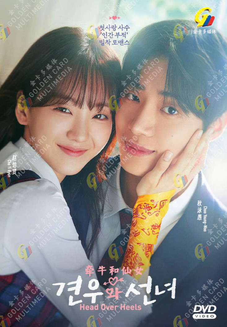KOREAN DRAMA Head Over Heels (Vol.1-12End) English Subtitle DVD All Region