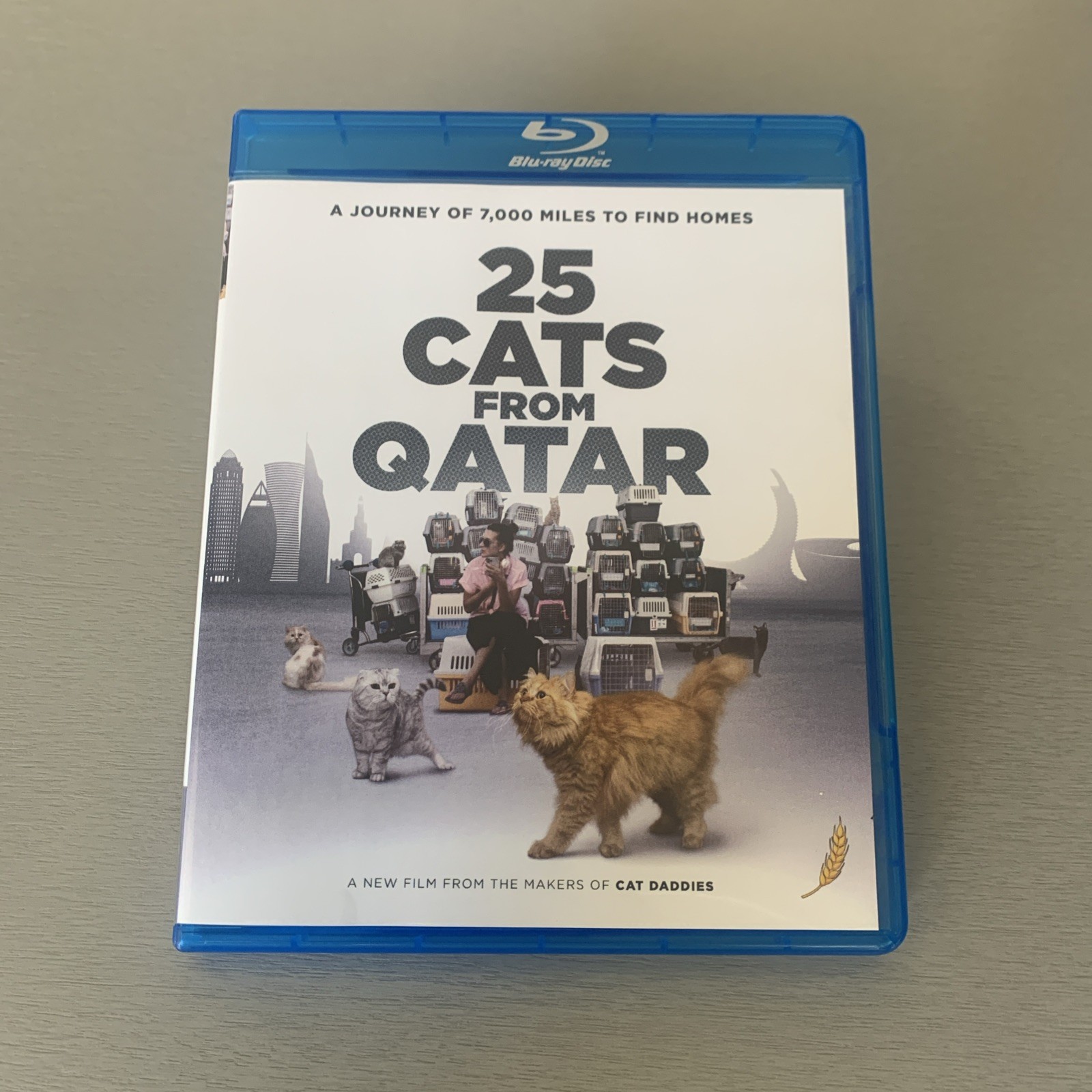 25 Cats from Qatar [Blu-ray]