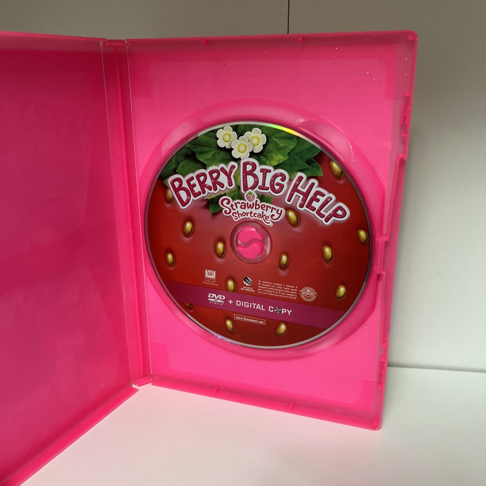 Strawberry Shortcake Berry Big Help DVD Good Condition DVD
