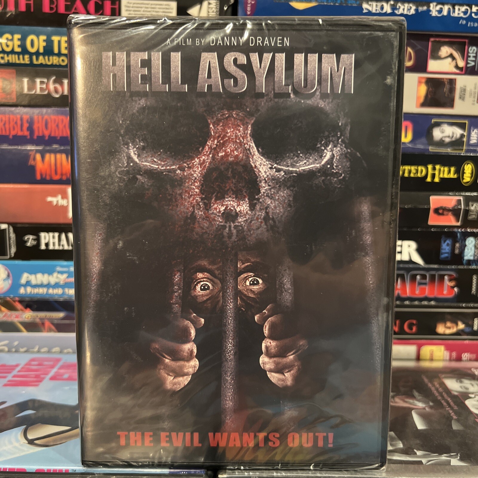 Hell Asylum 2002 DVD Brand New Joe Estevez Reality Show Prison Blood Gore Horror
