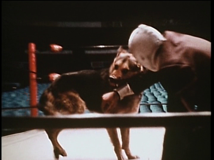 SANTO vs THE SHE WOLVES (English subtitled)