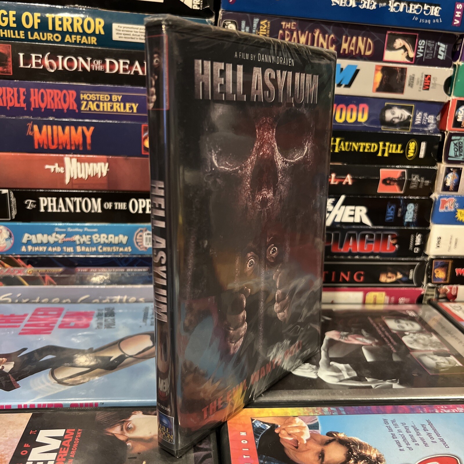Hell Asylum 2002 DVD Brand New Joe Estevez Reality Show Prison Blood Gore Horror