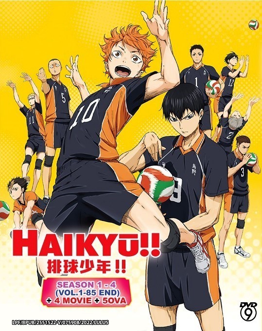 Haikyu!! Haikyuu Complete Anime Season 1-4 + Movie & OVA DVD Box English Dub