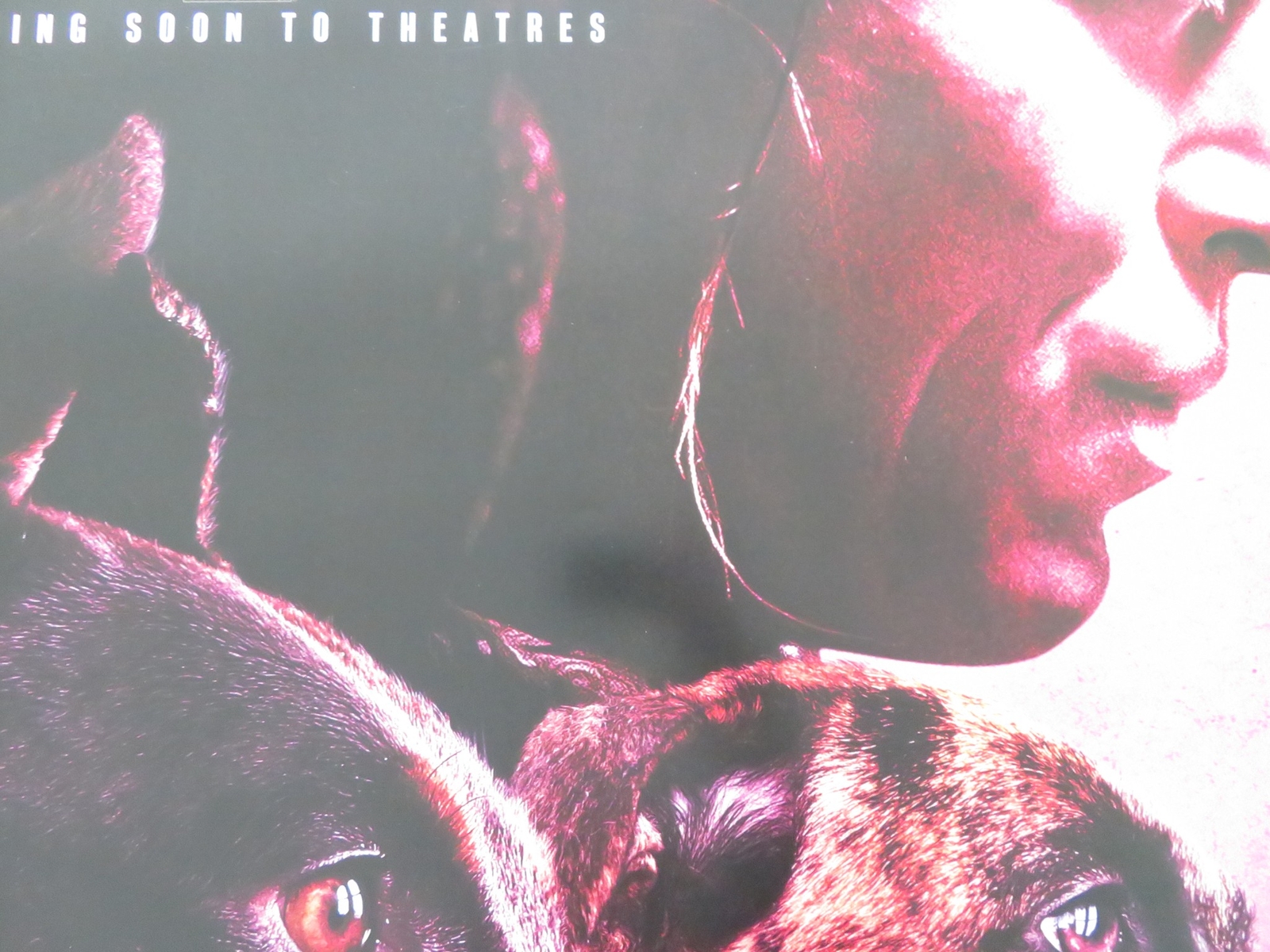 DOGMAN US ONE SHEET ROLLED POSTER CALEB LANDRY JONES JOJO T. GIBBS 2023
