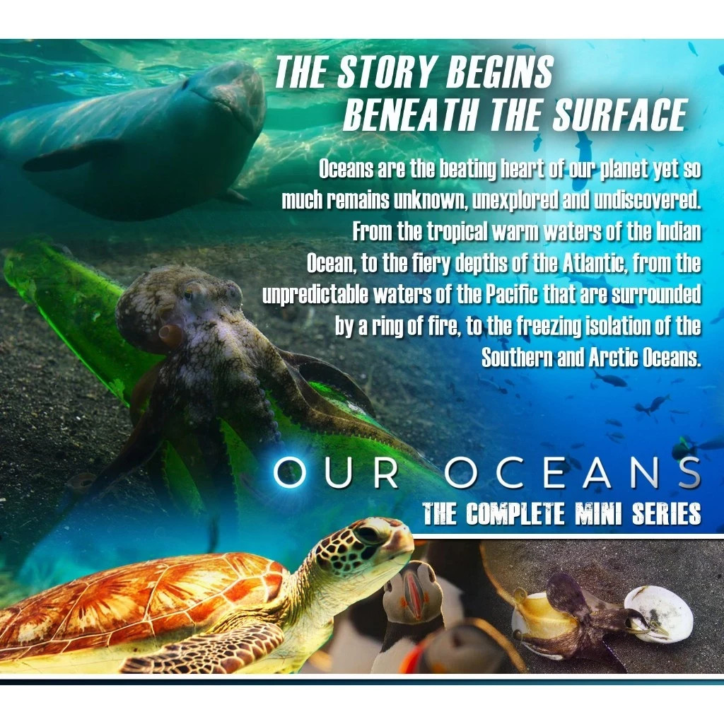 Our Oceans (2024) DVD TV Mini Series English Subtitle All Region