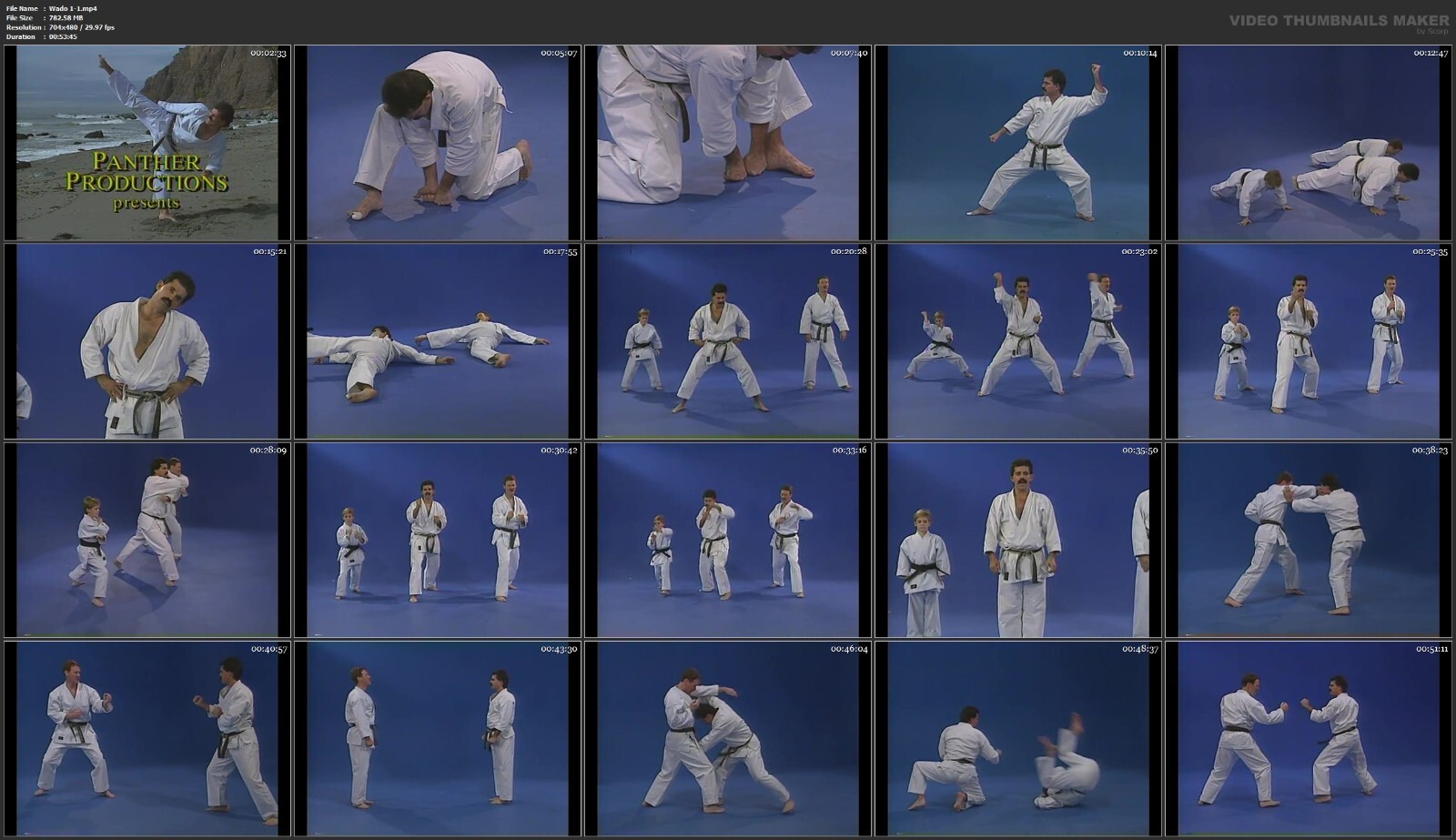 Wado Ryu Karate starring David Deaton (6 DVD Set)