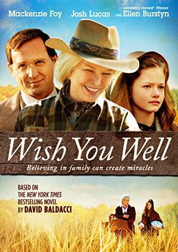 Wish You Well – DVD By Ellen Burstyn – GOOD