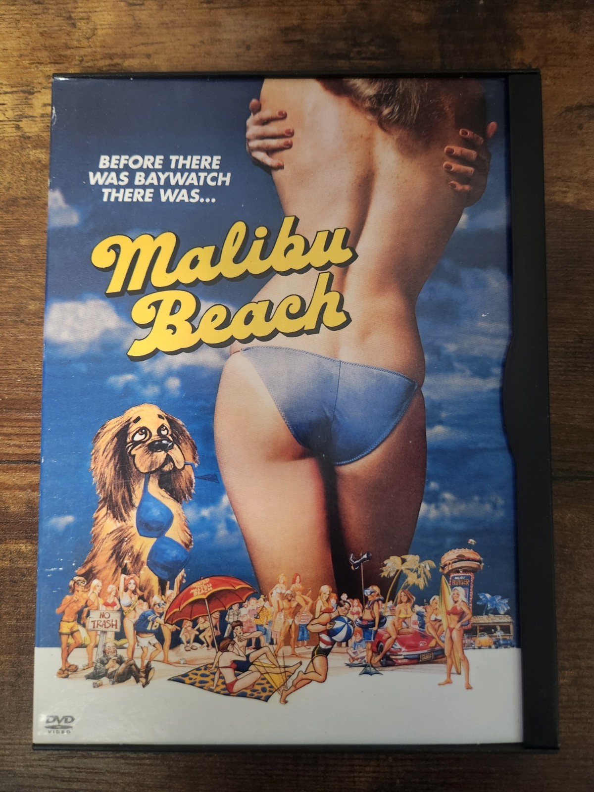 MALIBU BEACH DVD RARE OOP SUMMER COMEDY HOT BIKINI WOMEN WEED WINE WAVES