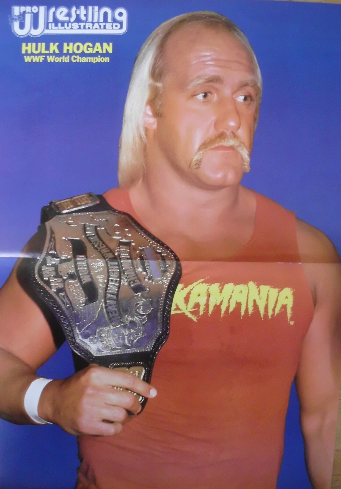 WWF WRESTLING FROM MADISON SQUARE GARDEN 12-28-84 PRO WRESTLING DVD (W-1806)