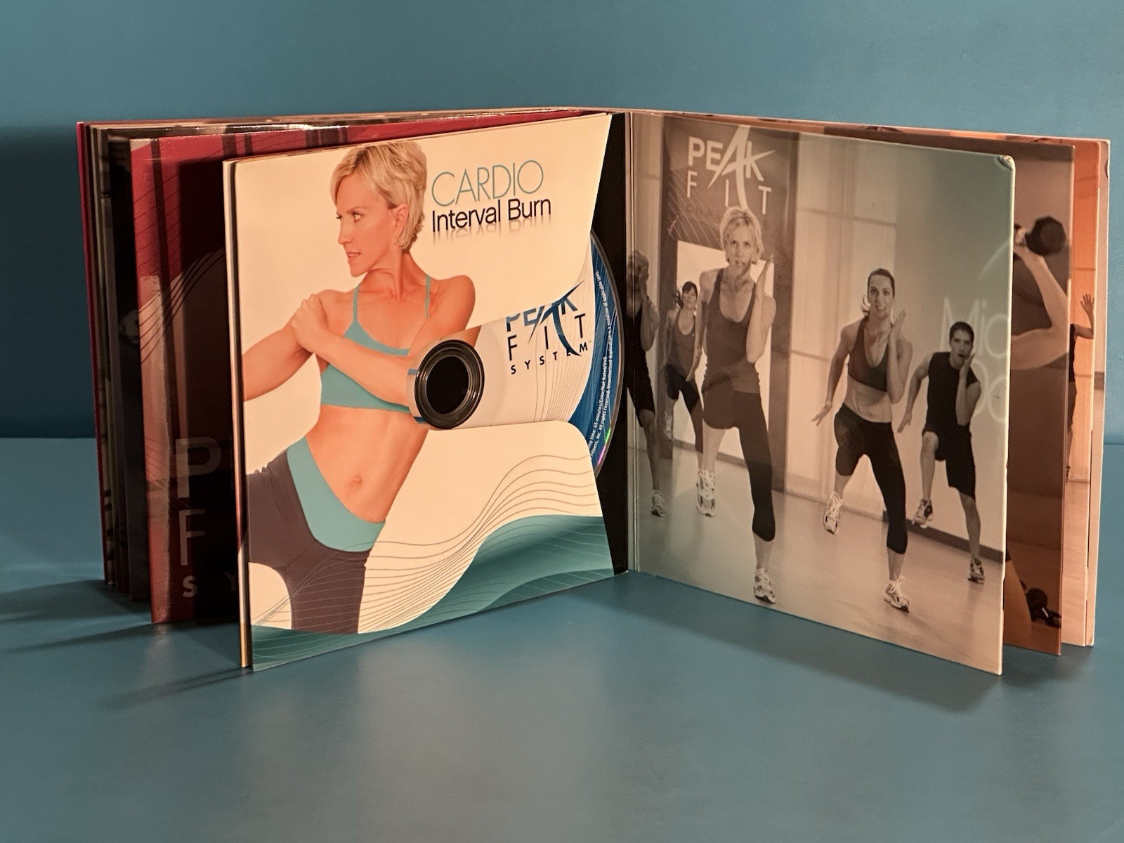 PEAK FIT SYSTEM ~ 10 Workouts ~THE COMPLETE COLLECTION~ DVD Set ~ Fitness ~NICE!