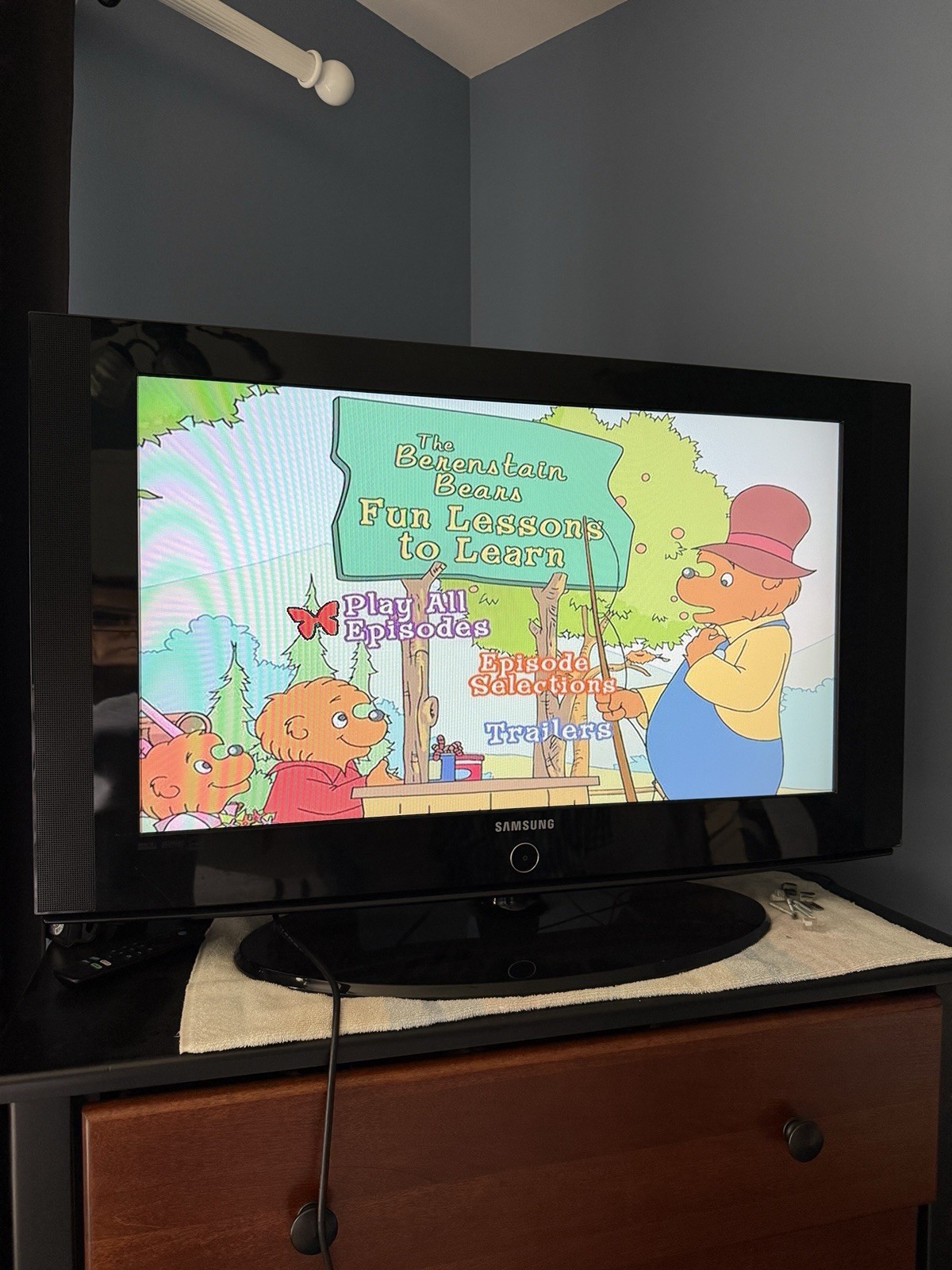 Vintage Berenstain Bears DVD Lot 8 Kids Family Cartoons Educational Out Of Print
