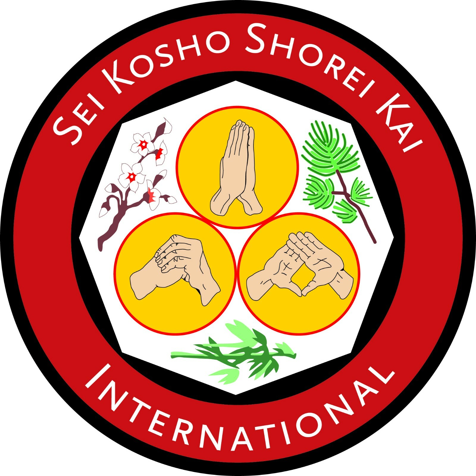 INSIGHTS OF KOSHO RYU KEMPO #4 dvd JUCHNIK MITOSE karate Ju jitsu Karate MMA