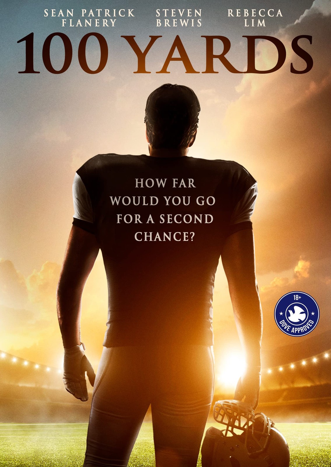 100 Yards (DVD) Sean Patrick Flanery Steven Brewis Melissa Paulo Danielle Rayne