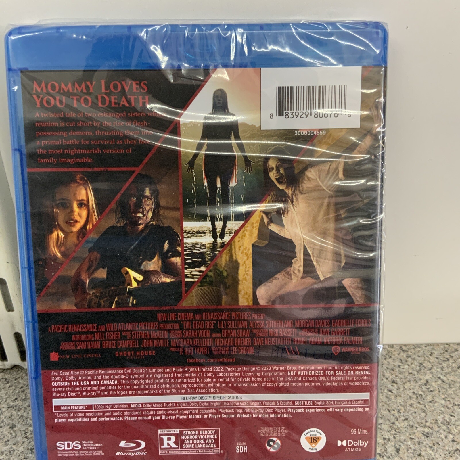 Evil Dead Rise (Blu-ray, 2023)