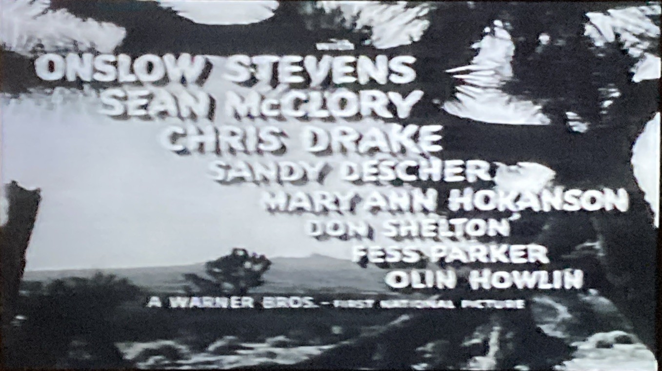 Them-Movie 1982/1954 VHS 11191 Warner Home Video B&W Dolby Noise Reduction, Rare