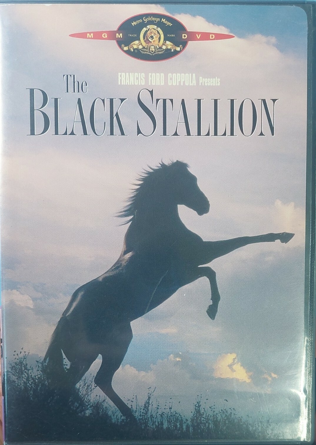 The Black Stallion 1979 (2005 MGM Home Entertainment DVD, G, Carroll Ballard)