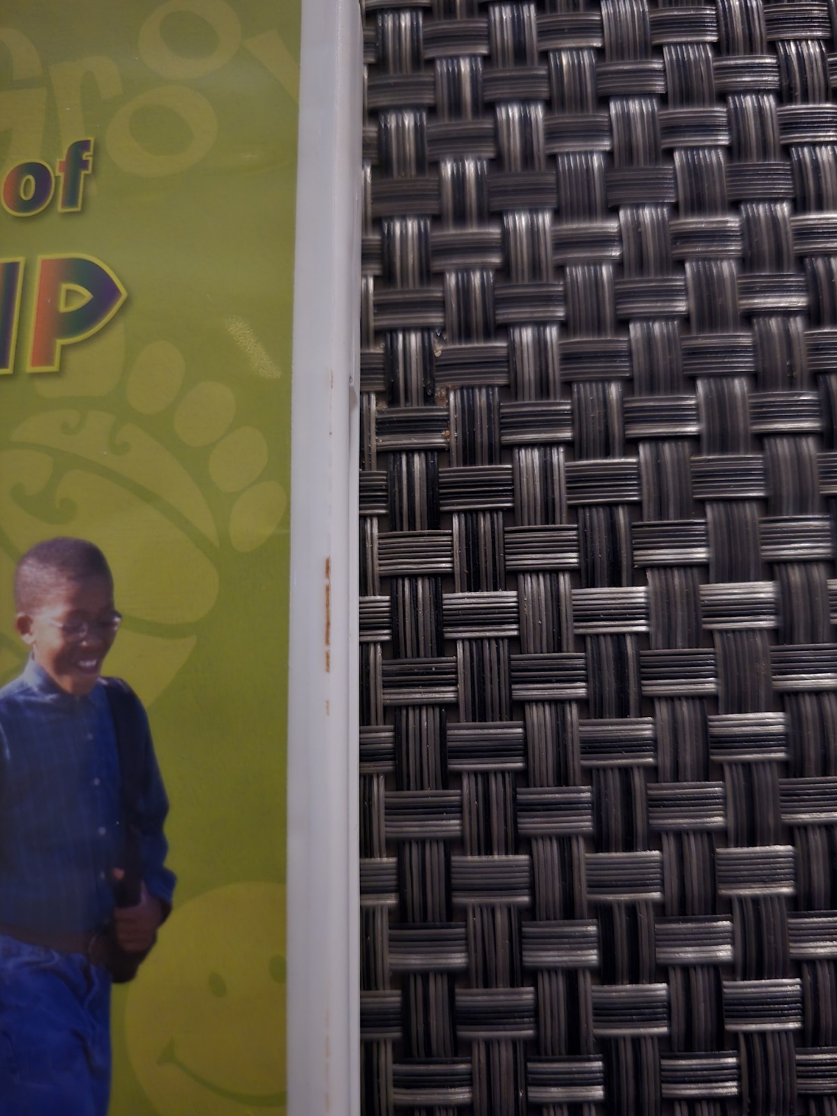RARE Disney’s The Color of Friendship Classroom Edition 2005 DVD NEW Never Used