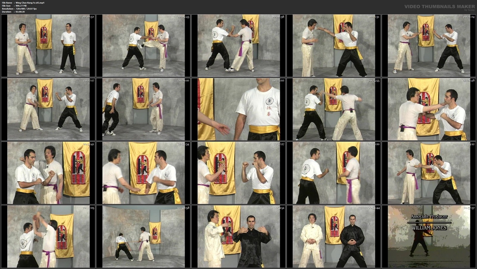 Wing Chun Kung Fu starring William Cheung (5 DVD Set)