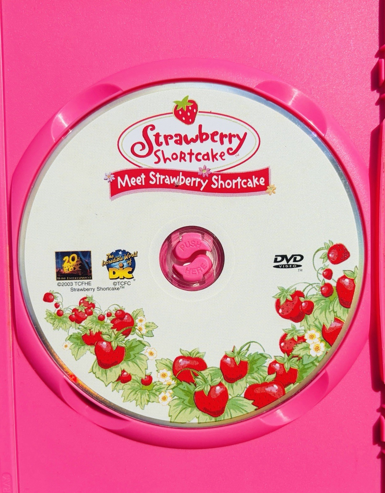 Meet Strawberry Shortcake AND Big Country Fun DVD Lot
