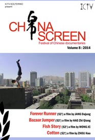 China Screen - Volume 8